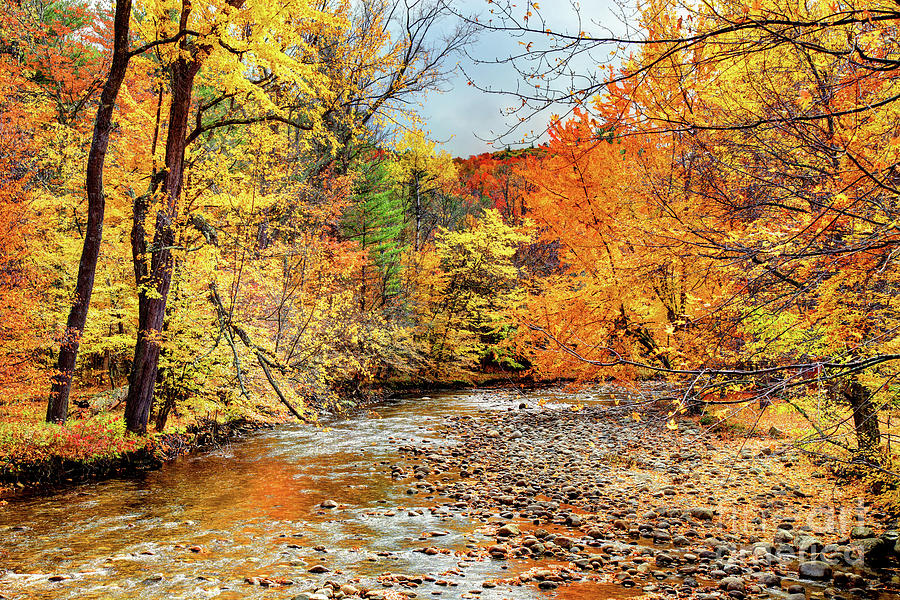 Autumn In The Adirondacks Region Of New York Photograph By Denis ...