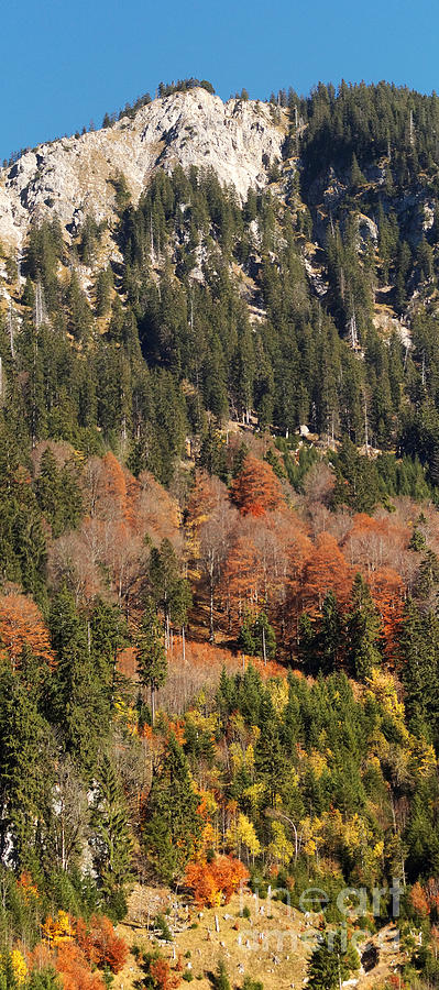 Autumn In The Alps 1 Photograph by Rudi Prott