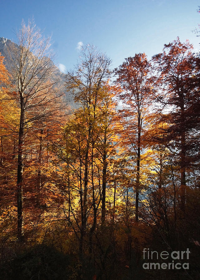 Autumn In The Alps 2 Photograph by Rudi Prott