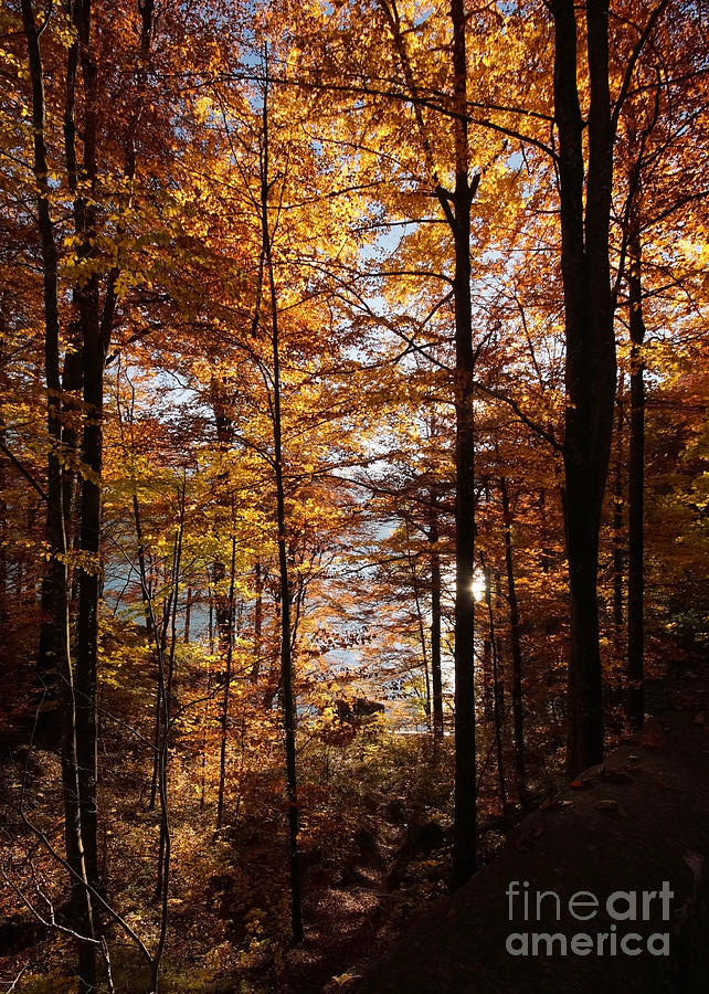 Autumn In The Alps 4 Photograph by Rudi Prott