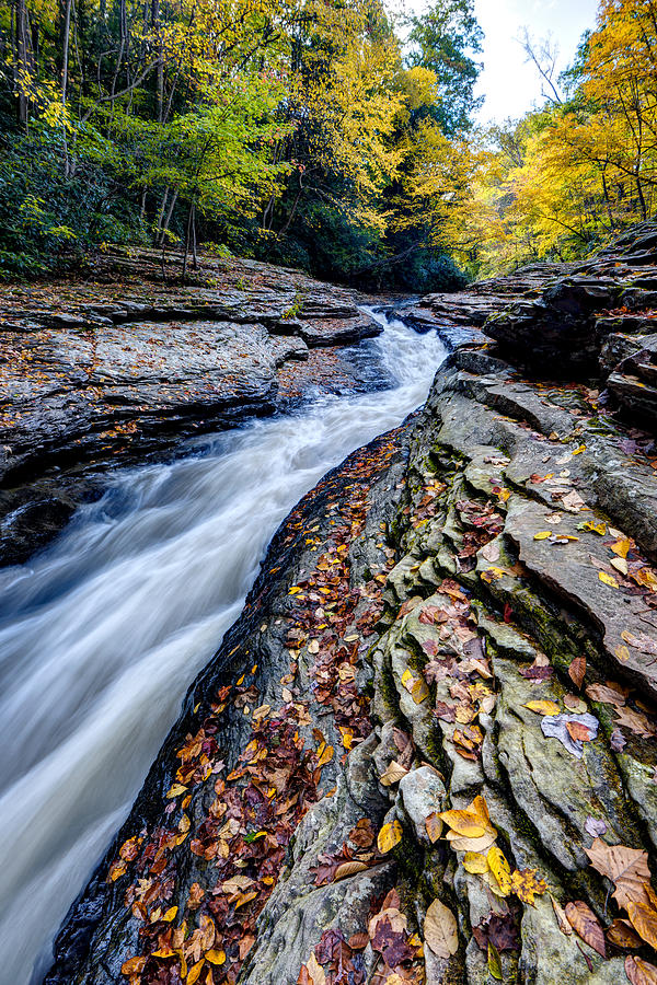 Autumn in the Appalachians Photograph by Matt Hammerstein