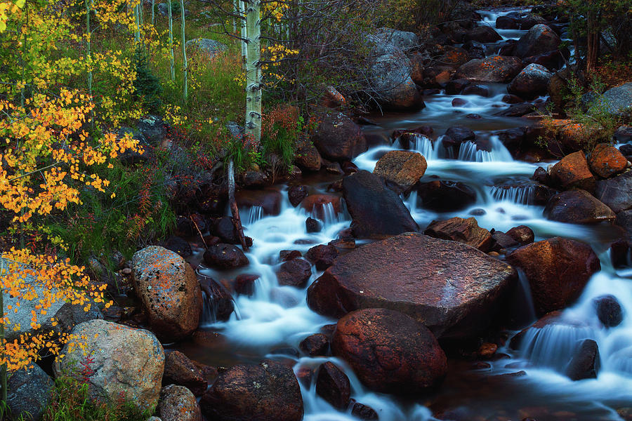 Autumn In The Arapaho National Forest Photograph by John De Bord