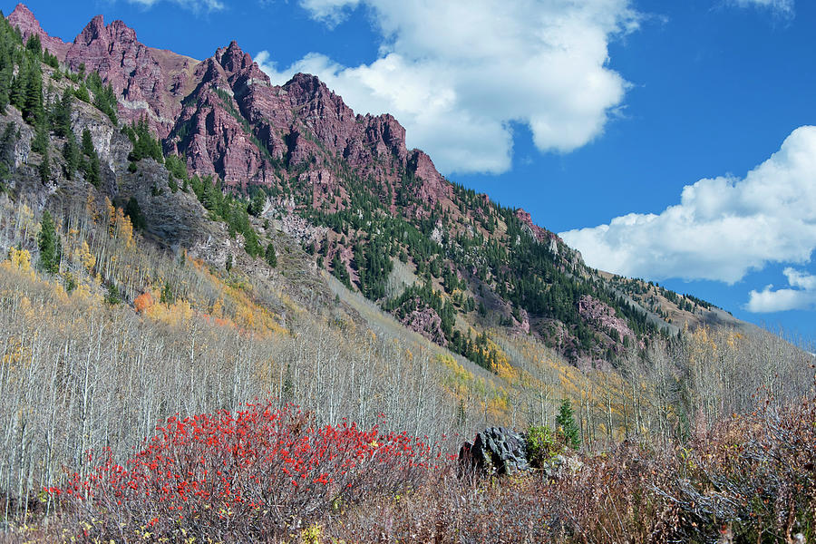 Mountain Photograph - Autumn in the Aspen Hills by Joan Carroll