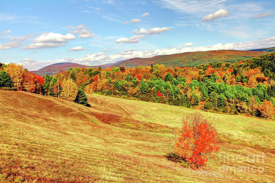 Autumn in the Berkshires region of Massachusetts Photograph by Denis