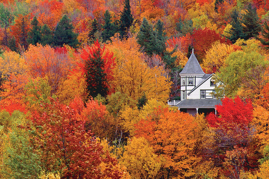 Autumn in the Catskills Photograph by James Brisciana Fine Art America