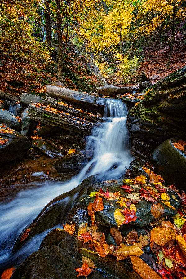 Fall Photograph - Autumn In The Catskills by Rick Berk