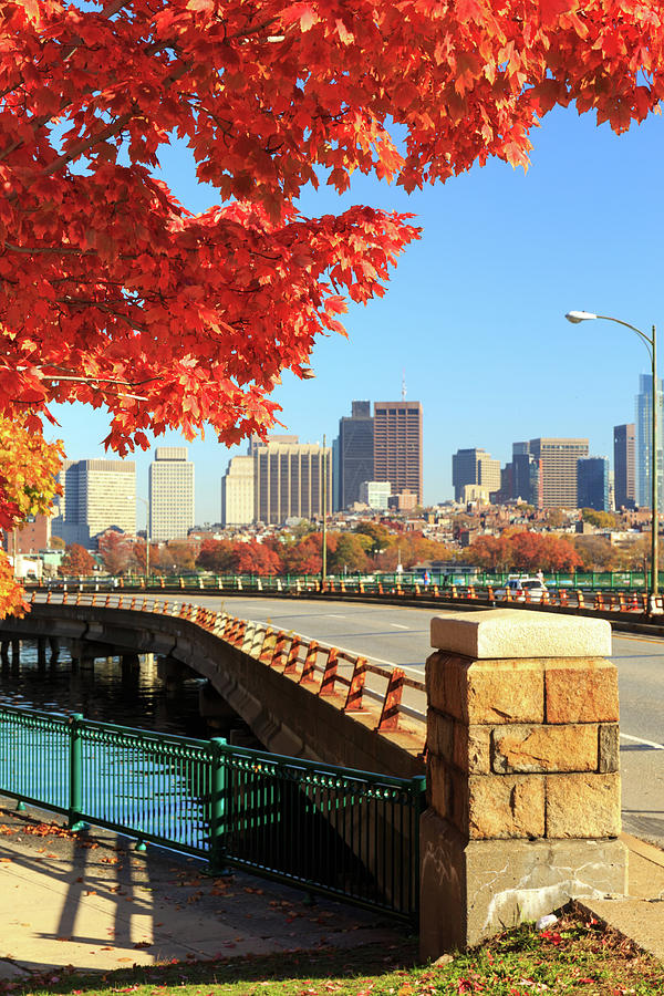 Autumn in the city Photograph by Ekaterina Molchanova - Fine Art America