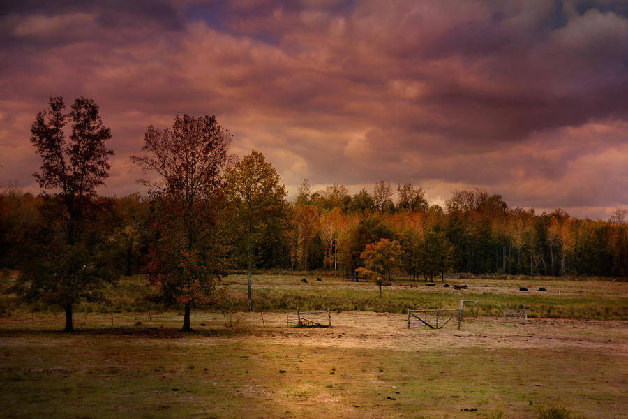 Autumn In The Country Photograph by Jai Johnson