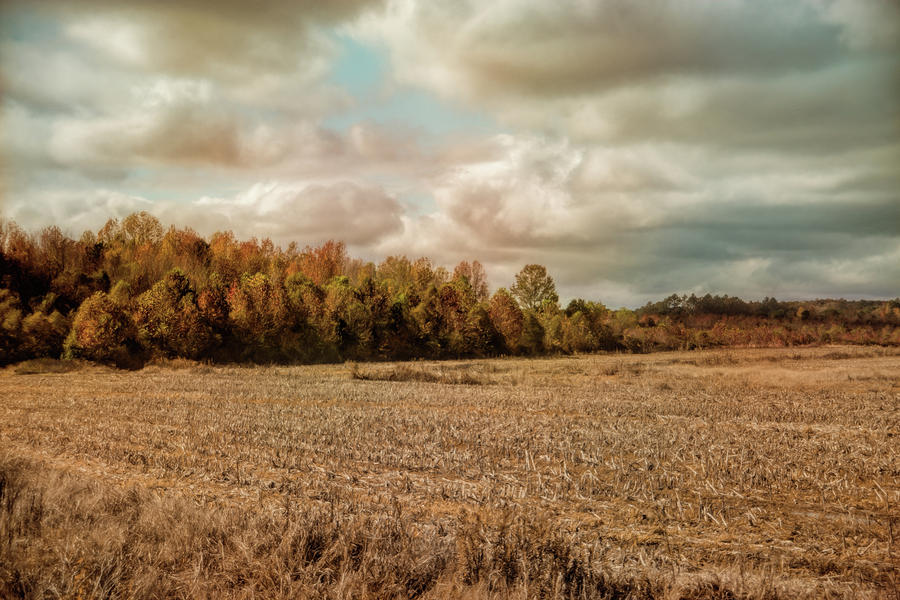 Autumn In The Country Landscape Scene Photograph by Jai Johnson