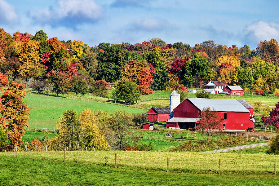Autumn In The Country Photograph by Marcia Colelli - Pixels