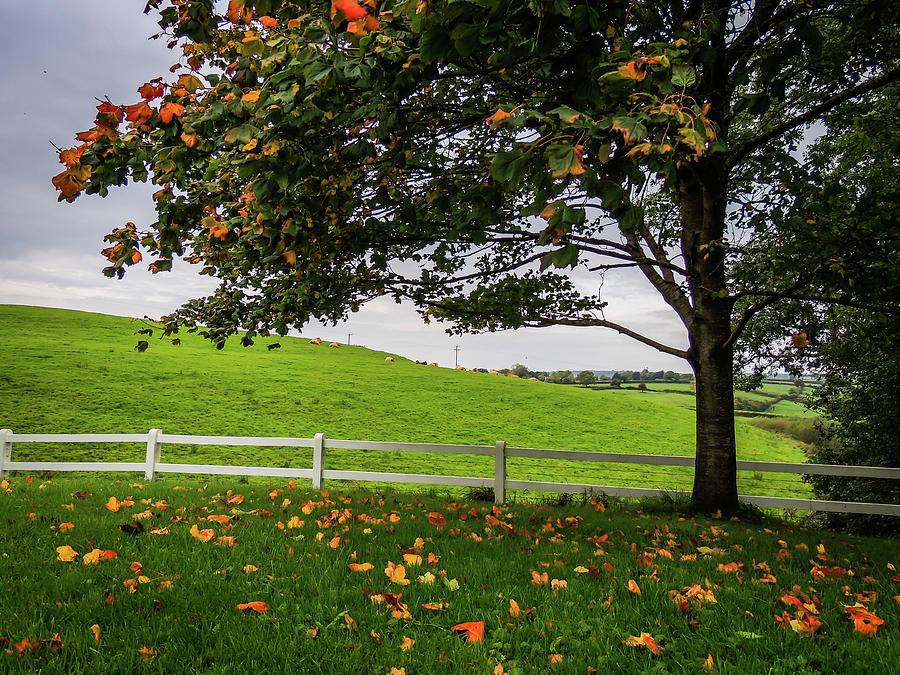 Autumn in the County Clare Countryside Photograph by James Truett