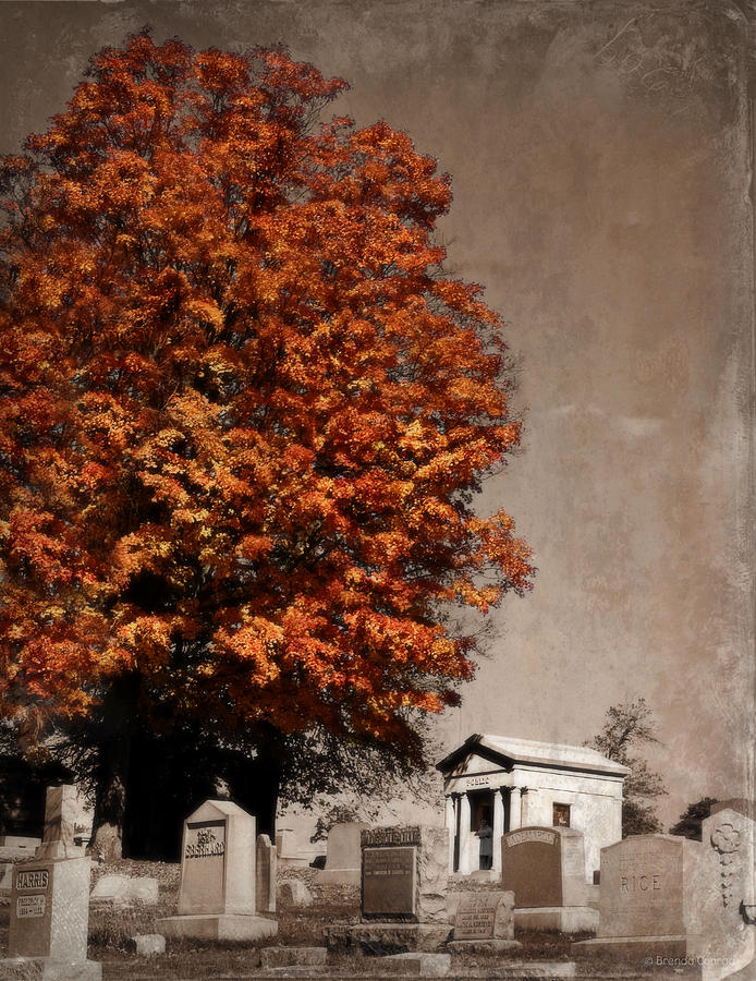 Autumn in the Graveyard Photograph by Dark Whimsy