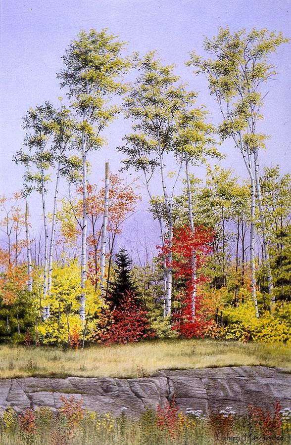 Autumn in the Haliburtons Painting by Conrad Mieschke