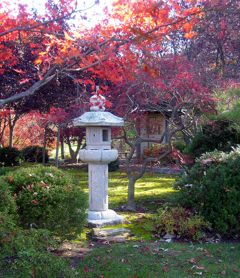 Autumn in the Japanese Garden Photograph by John Lautermilch