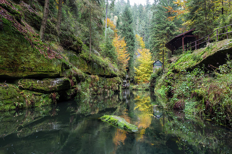 Autumn In The Kamnitz Gorge Photograph