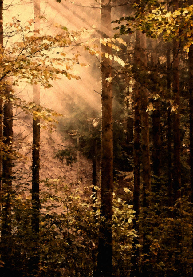 Fall Digital Art - Autumn In The Morning Light by Georgiana Romanovna