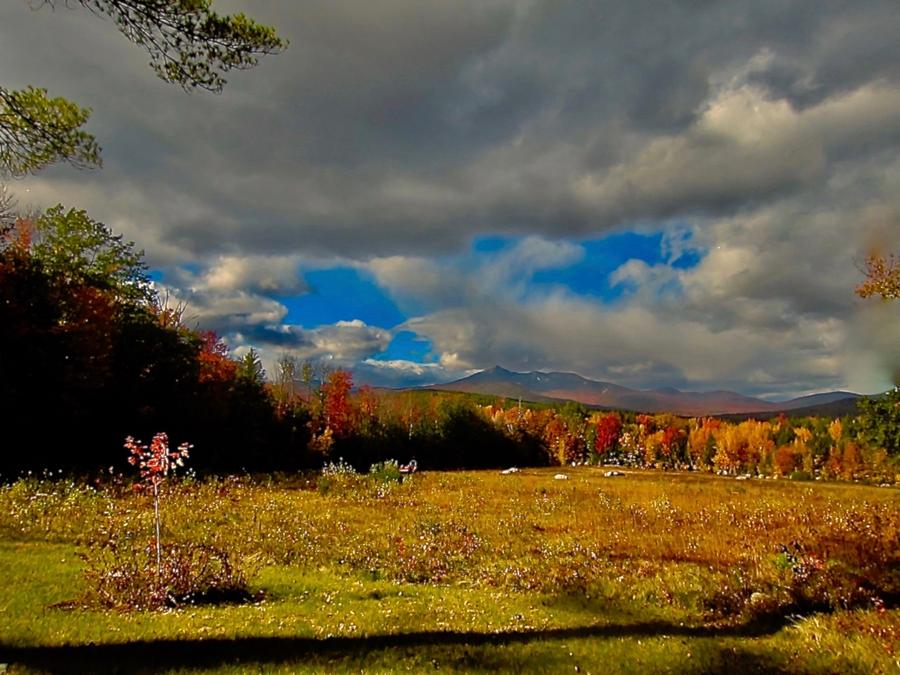 Autumn in the Mountains Photograph by Elizabeth Tillar