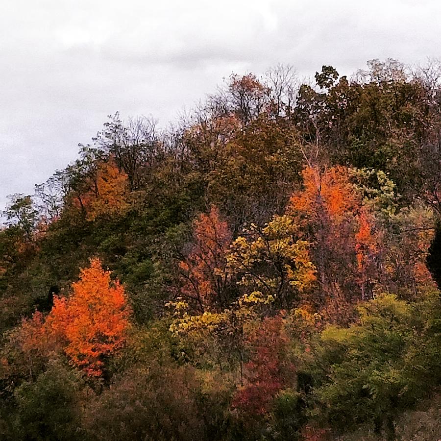 Autumn in the Mountains Photograph by Veronica Castillo - Fine Art America