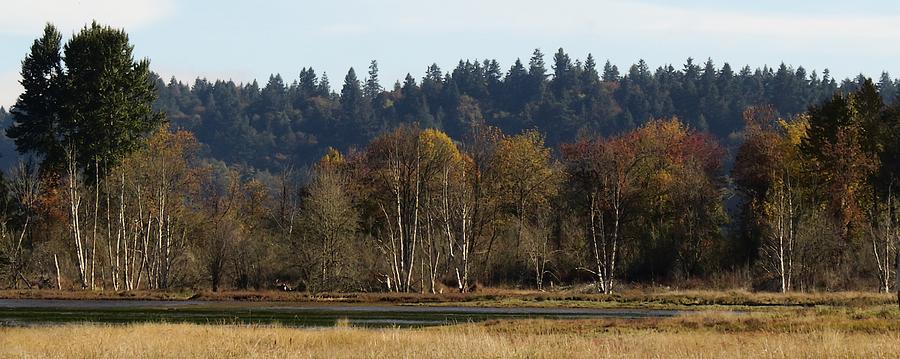 Autumn In The Nisqually Estuary  Photograph by Iina Van Lawick