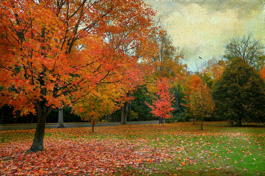 Autumn in the Park Photograph by Diana Angstadt