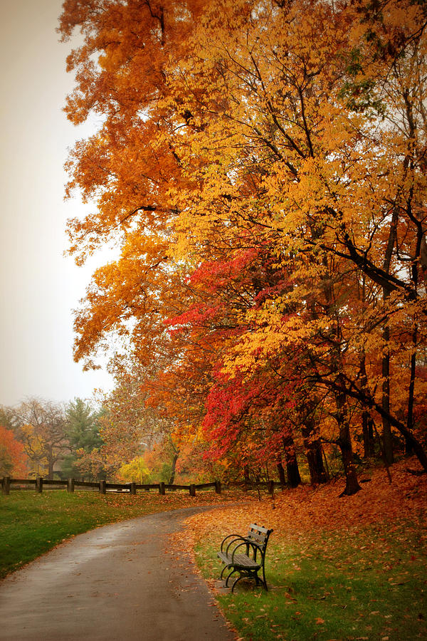 Autumn in the Park Photograph by Jessica Jenney