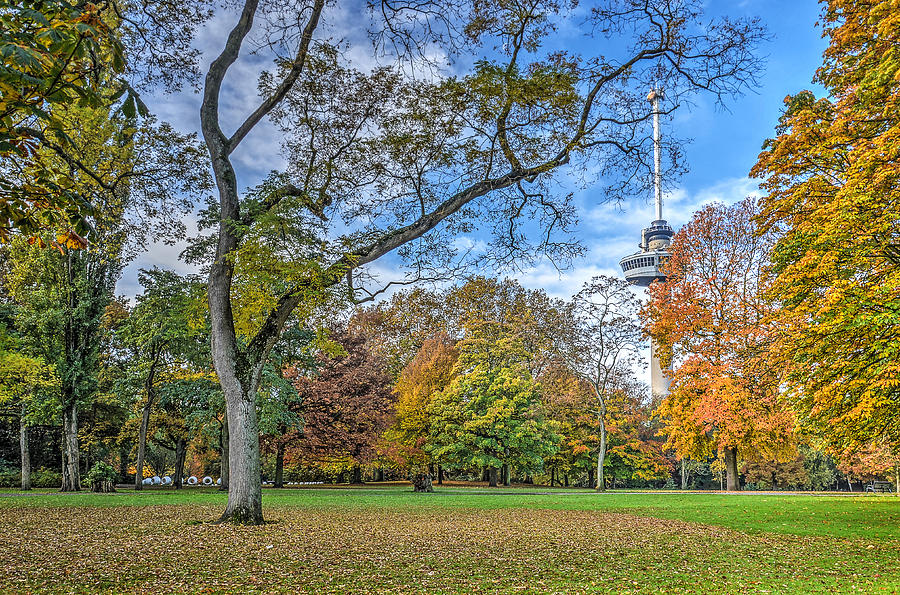 Autumn in The Park, Rotterdam Photograph by Frans Blok