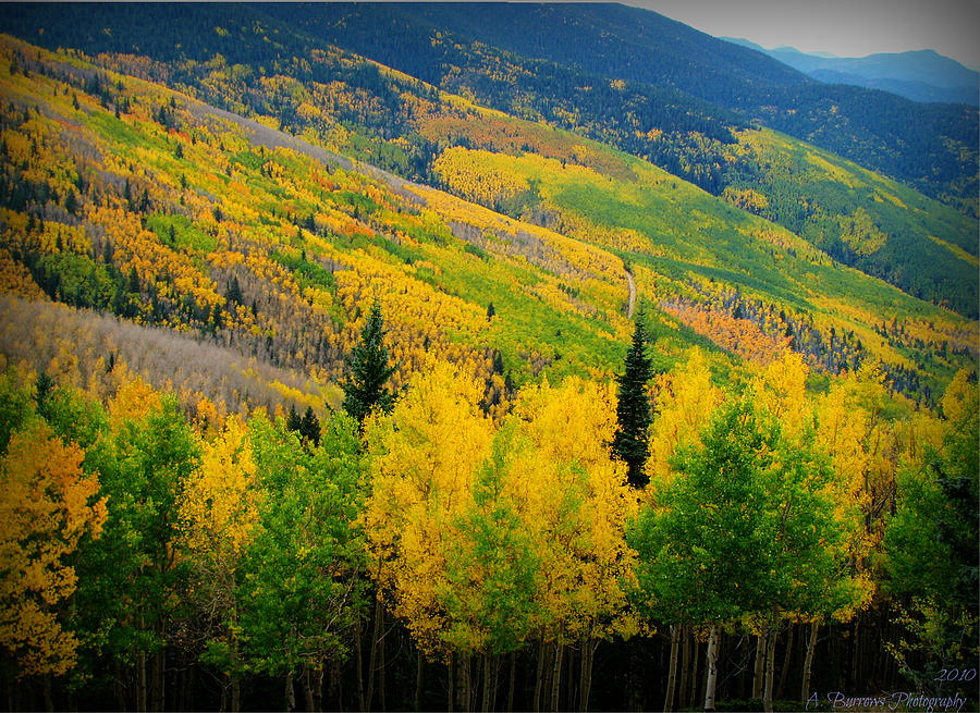 Fall Photograph - Autumn in the Rockies by Aaron Burrows