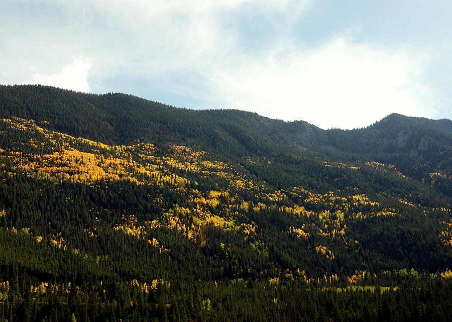 Autumn in the Rockies Photograph by Beth Collins