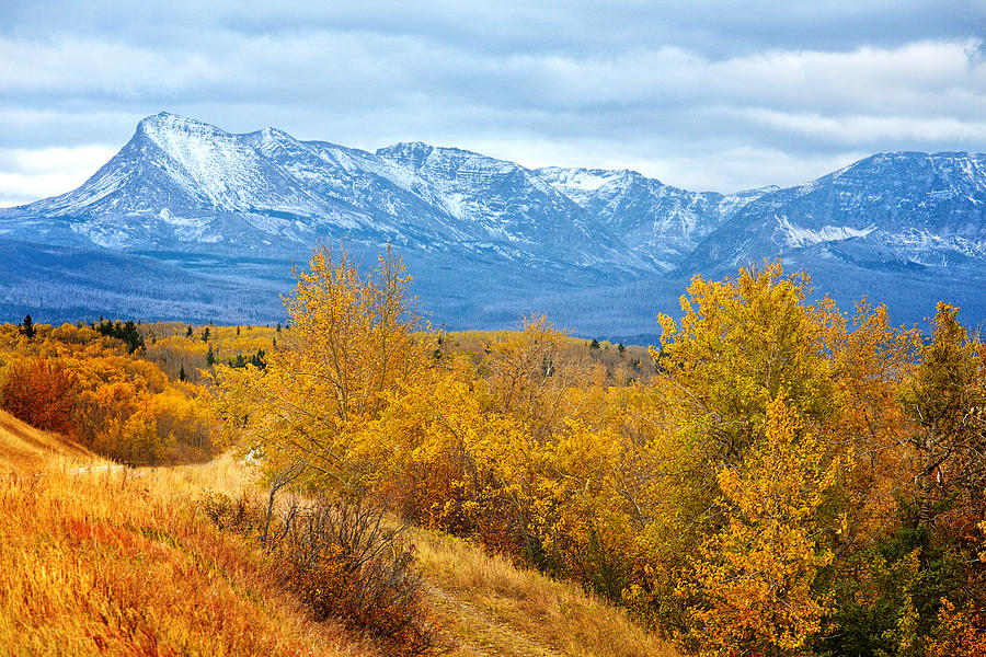 Autumn In The Rockies Photograph by Mary Jo Allen