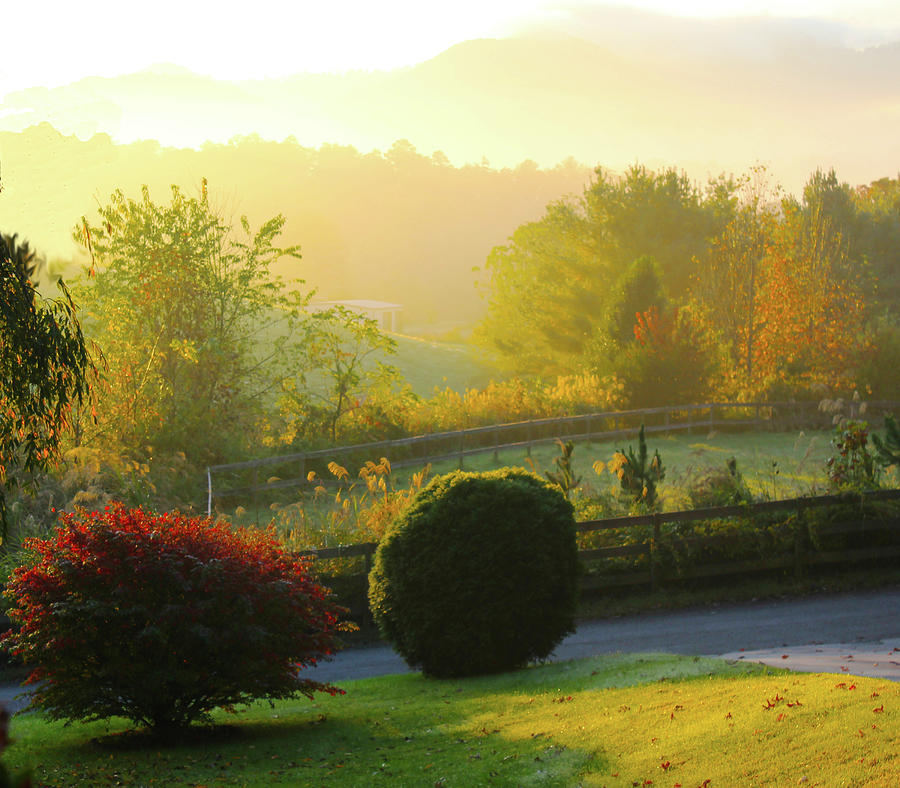 Autumn in The Smokey Mountains Photograph by Rod Whyte