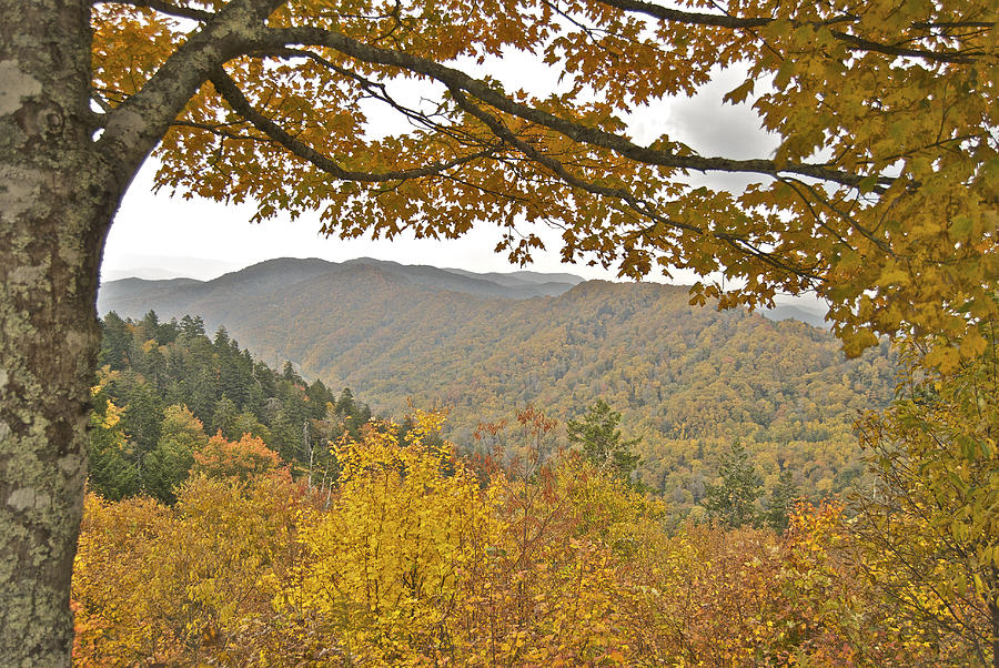 Mountain Photograph - Autumn in the Smokies by Michael Peychich