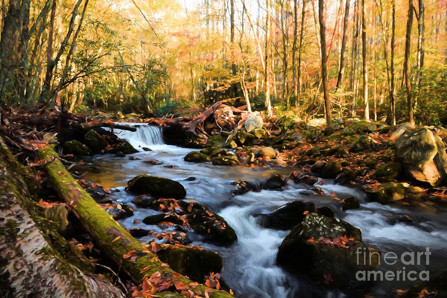 Autumn In The Smoky Mountains # 3 Photograph by Mel Steinhauer