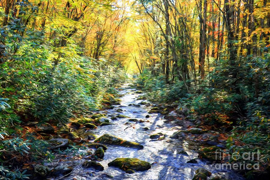 Autumn In The Smoky Mountains Photograph by Mel Steinhauer