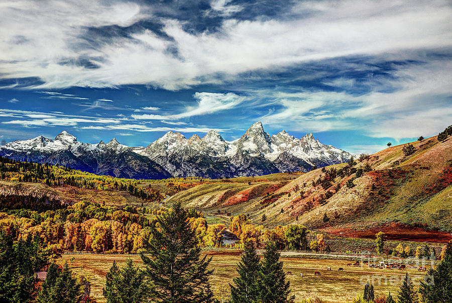 Autumn In The Tetons Photograph by Jean Hutchison