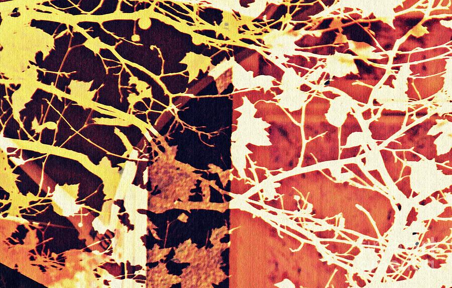 Autumn in the Vineyard 2 Digital Art by Sarah Loft