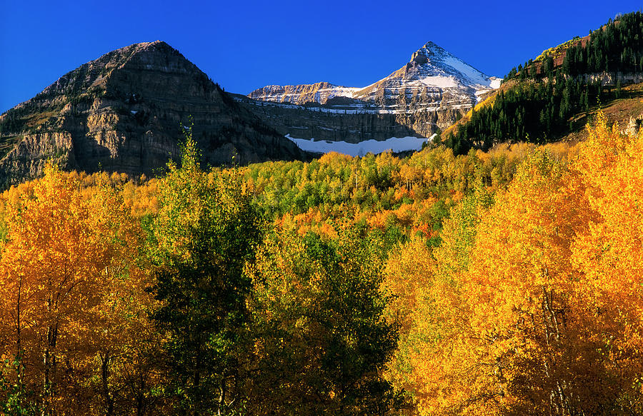 Autumn in the Wasatch Photograph by Grant Sorenson