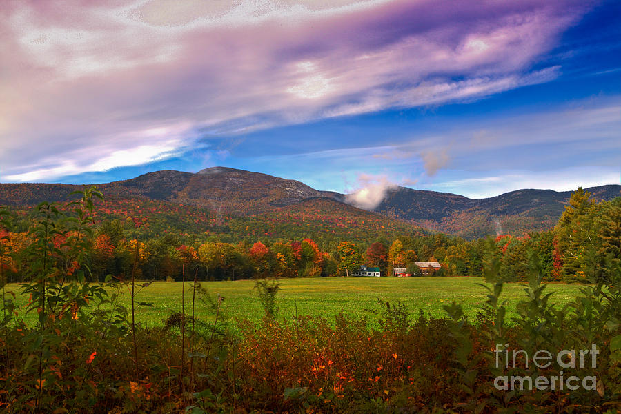 Autumn in the White Mountains Photograph by David Bishop