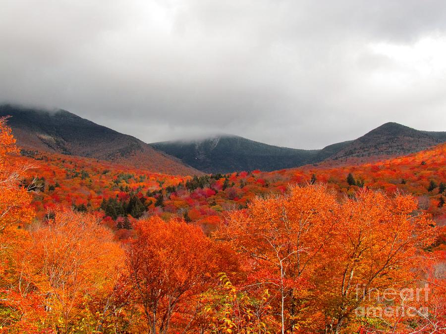 Autumn in the White Mountains Photograph by Elizabeth Dow