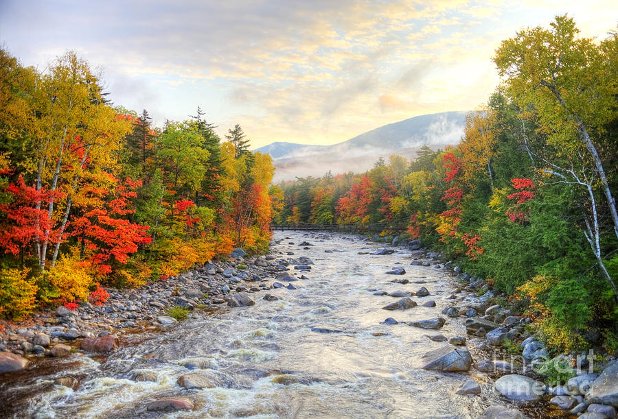White Mountain National Forest Autumn-in-the-white-mountains-national-forest-new-hampshire-denis-tangney-jr