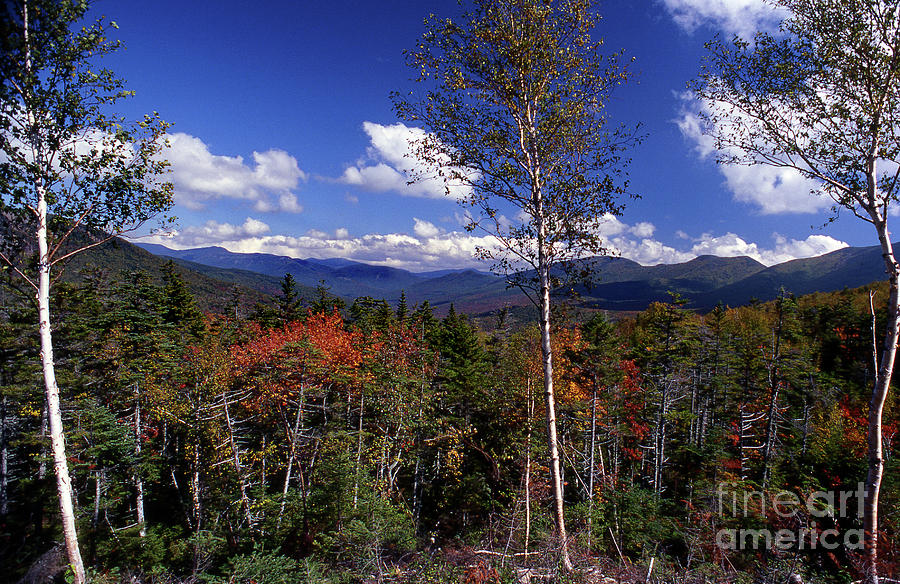 Autumn In The White Mountains Photograph by Skip Willits