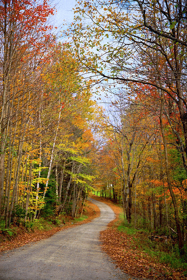 Autumn in Vermont-2 Photograph by Carole Gordon