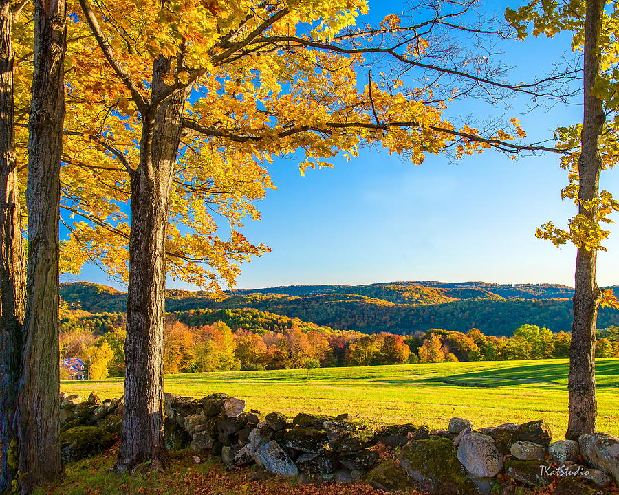 Autumn in Vermont Photograph by Tim Kathka
