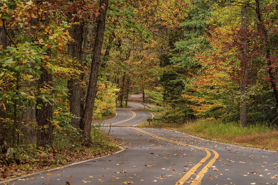Autumn in Virginia Photograph by Jody Partin