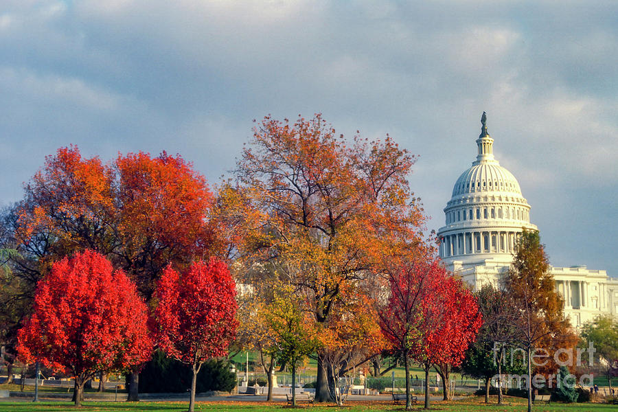 Autumn in Washington DC Photograph by Bob Phillips Fine Art America