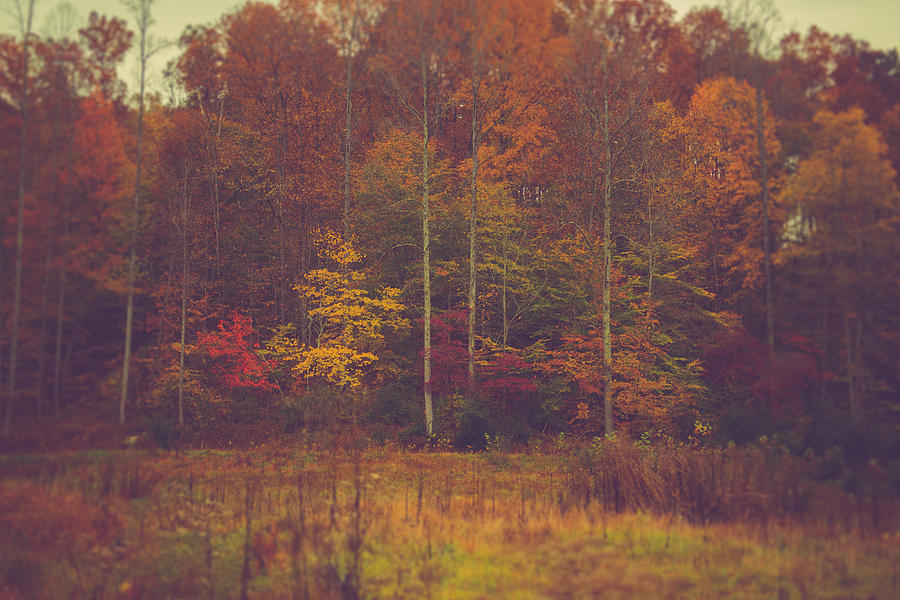 Autumn In West Virginia Photograph by Shane Holsclaw