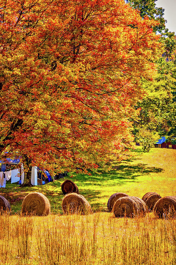 Autumn in West Virginia Photograph by Steve Harrington