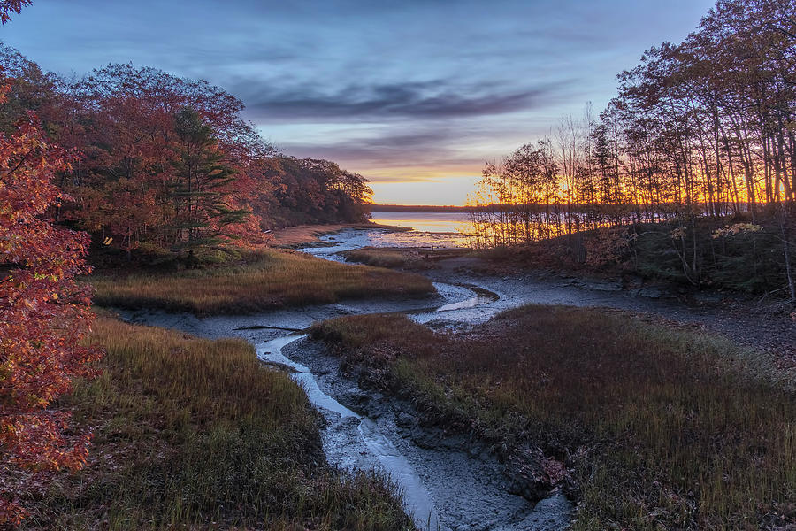 Autumn Inlet Photograph by Tom Singleton