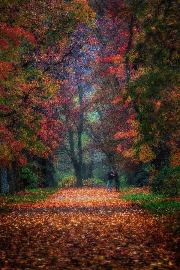 Autumn is here Photograph by Roberto Pagani