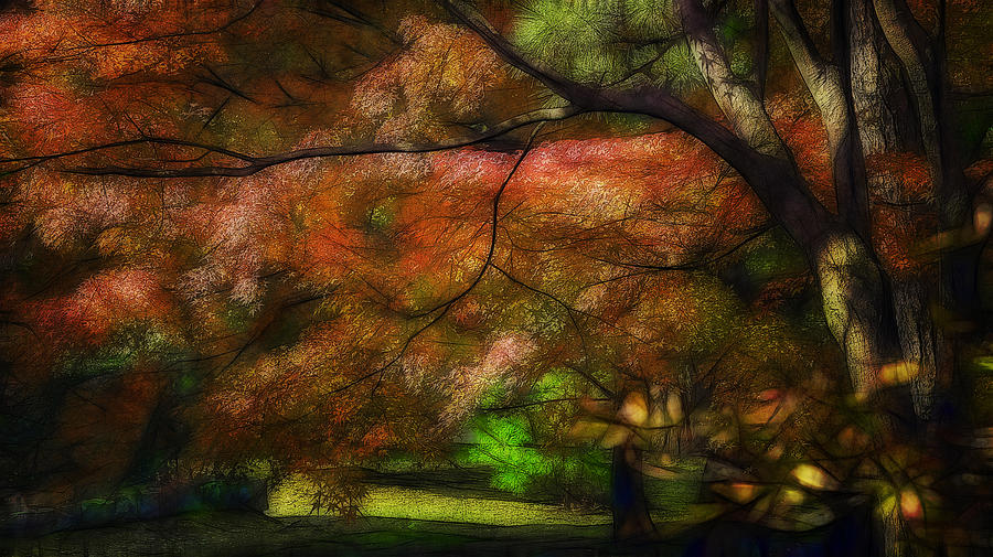 Nature Digital Art - Autumn by Jean-Marc Lacombe