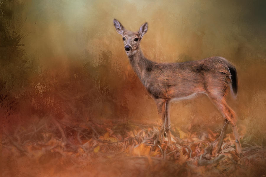 Autumn Journey Deer Art Photograph by Jai Johnson